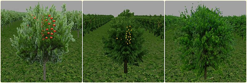 trees.jpg, 67kB