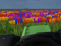 Ntulip.jpg, 7,9kB